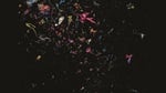 A4_ where_balloon